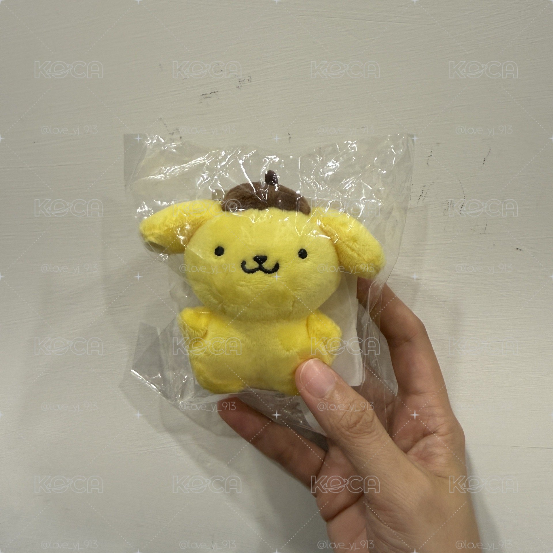 現貨 布丁狗30週年快閃店限定商品 娃衣 耳機包 絨毛小物 雨衣狗 拉繩搖尾巴玩偶 沙發布丁狗 杯套