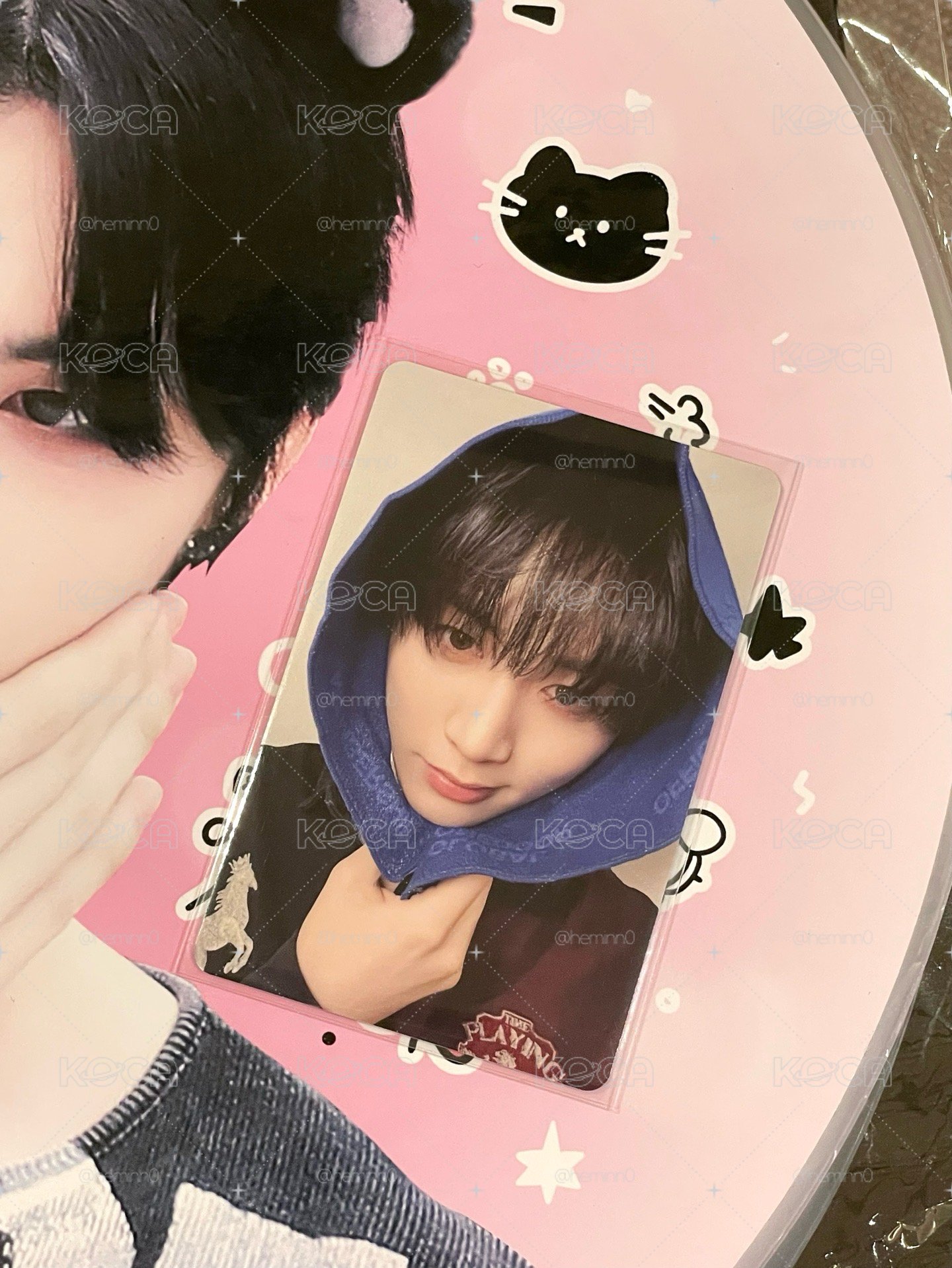 🐈‍⬛大王扇&