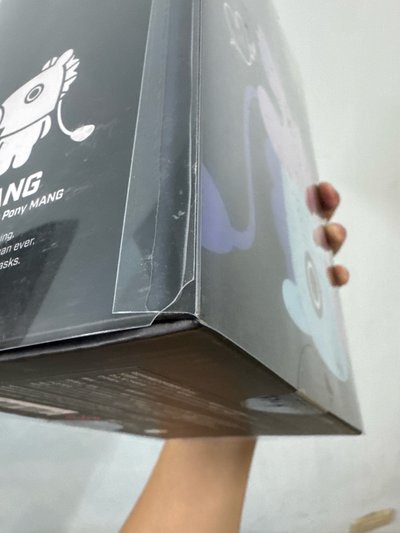 BT21 Mang 初代站娃