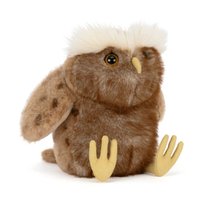 Tawoola Owl 貓頭鷹