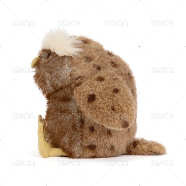 Tawoola Owl 貓頭鷹