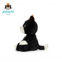 Jack Junior 幼貓