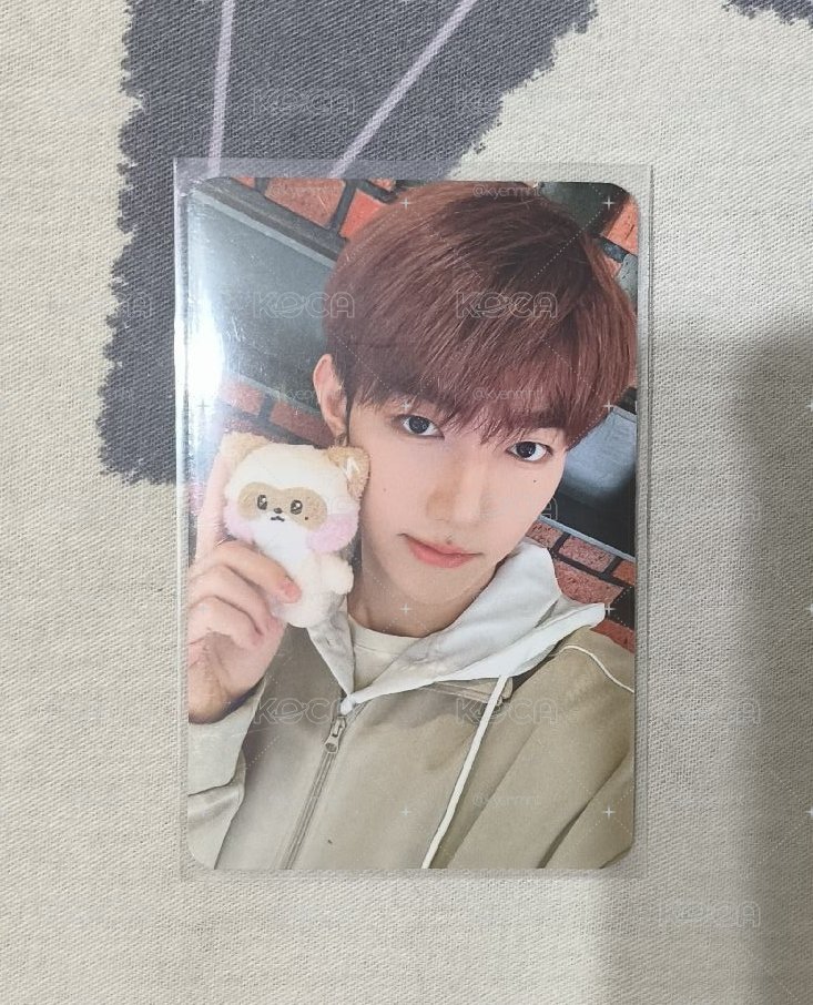 昊