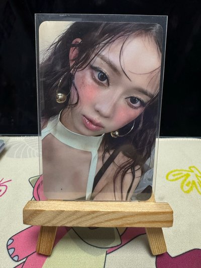 DW mr辛運冬