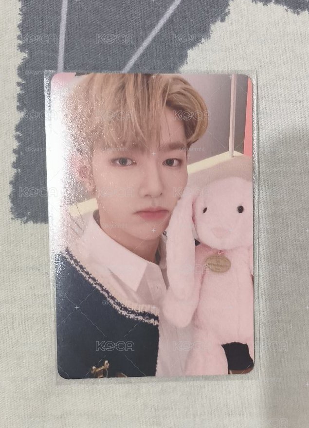 昊