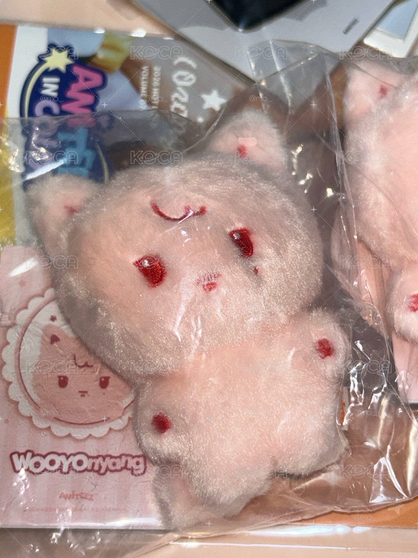 in colors草莓🍓榮含卡