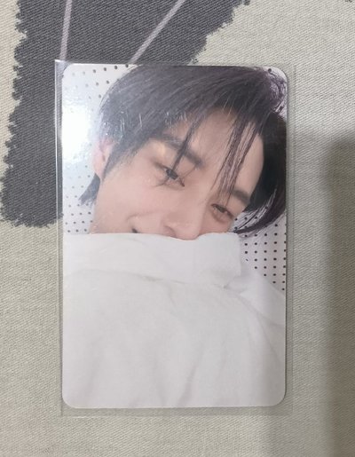 雄