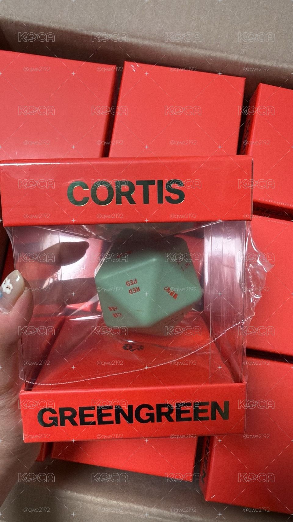 全新未拆CORTIS骰專 在台現貨！！