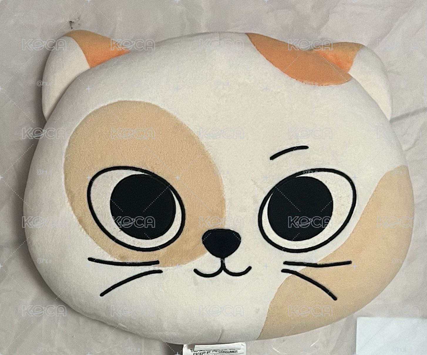 BBNEXDO 抱枕 CATBBI