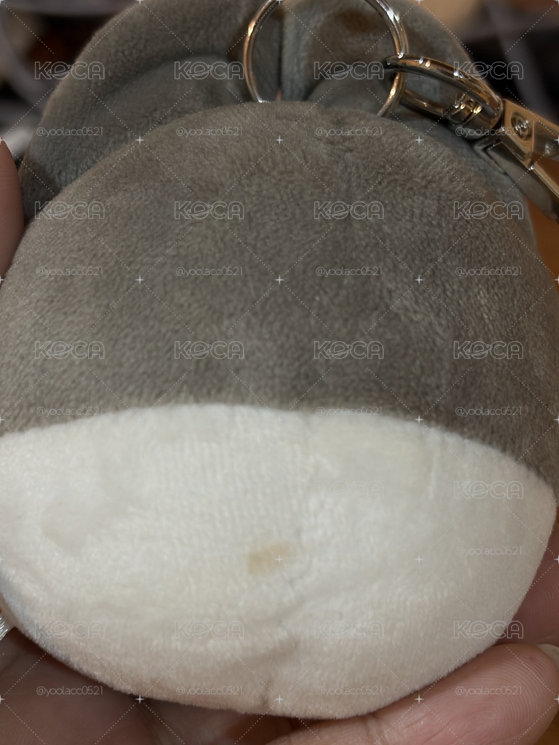 燦狼區