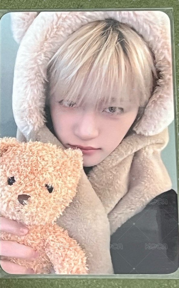小熊