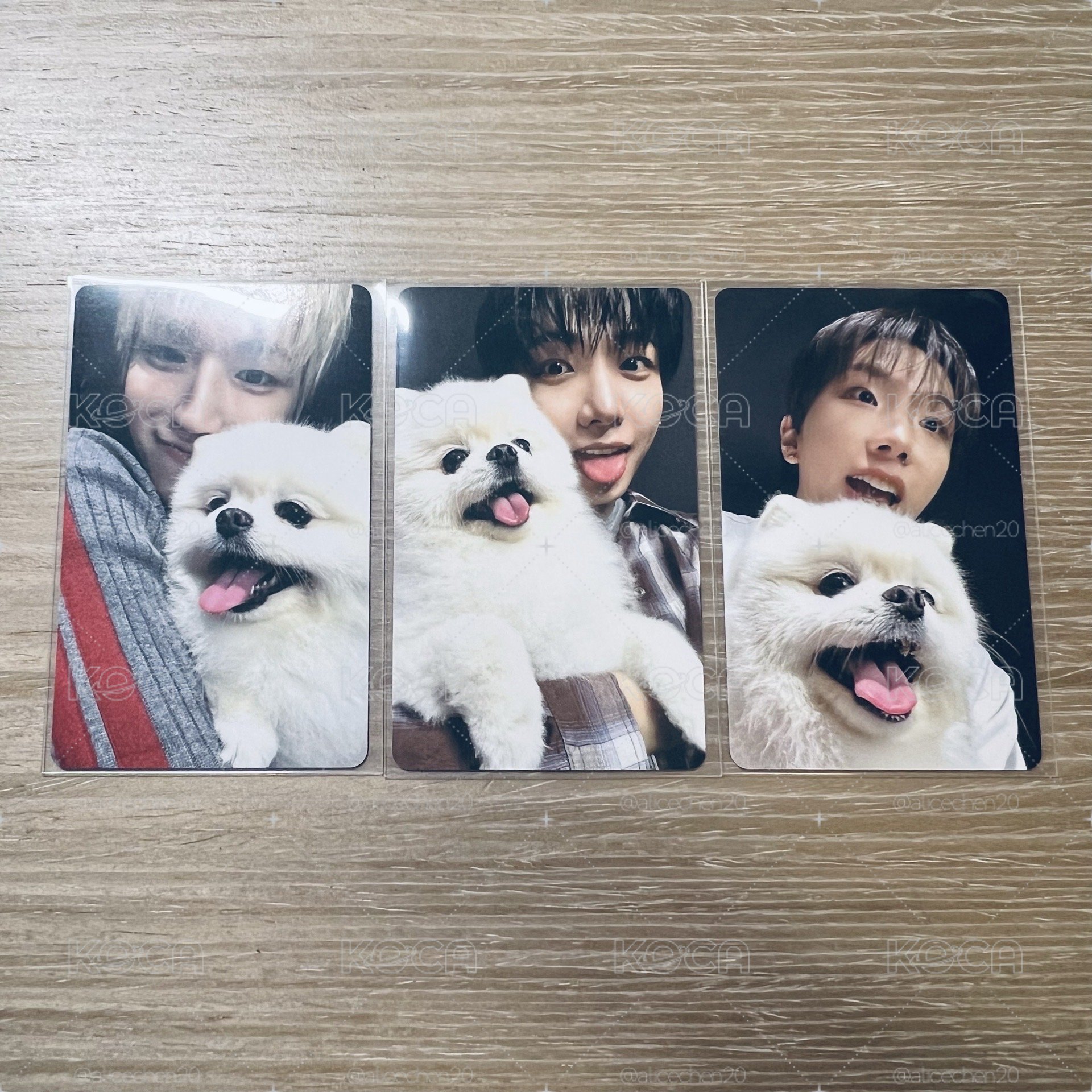 小狗特典