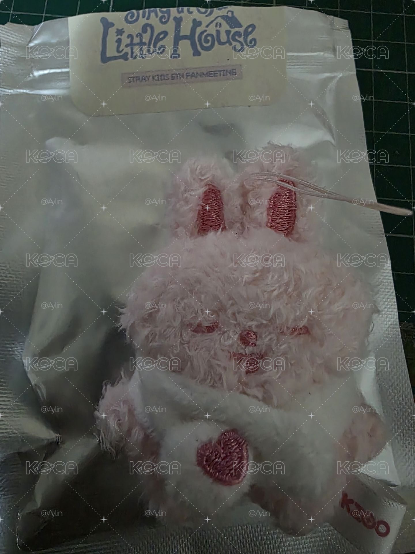 草莓李畢
