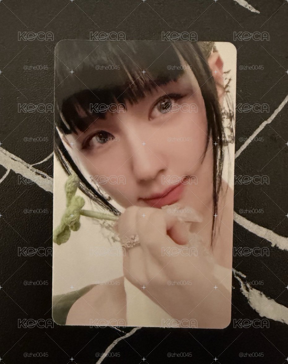 泡泡摩奇🫧 中背麵