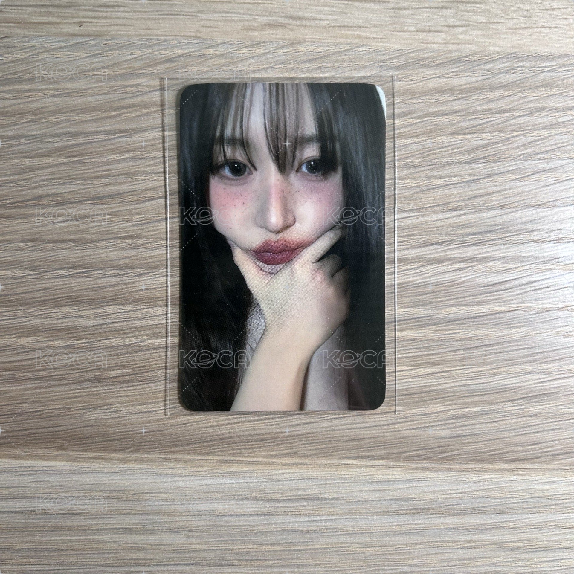 fans預售嫄