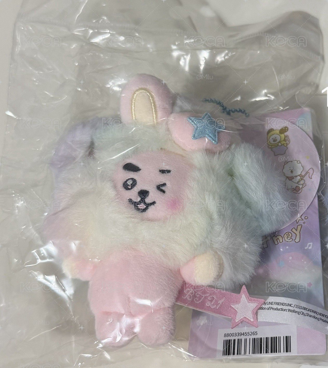 BTJ Cooky