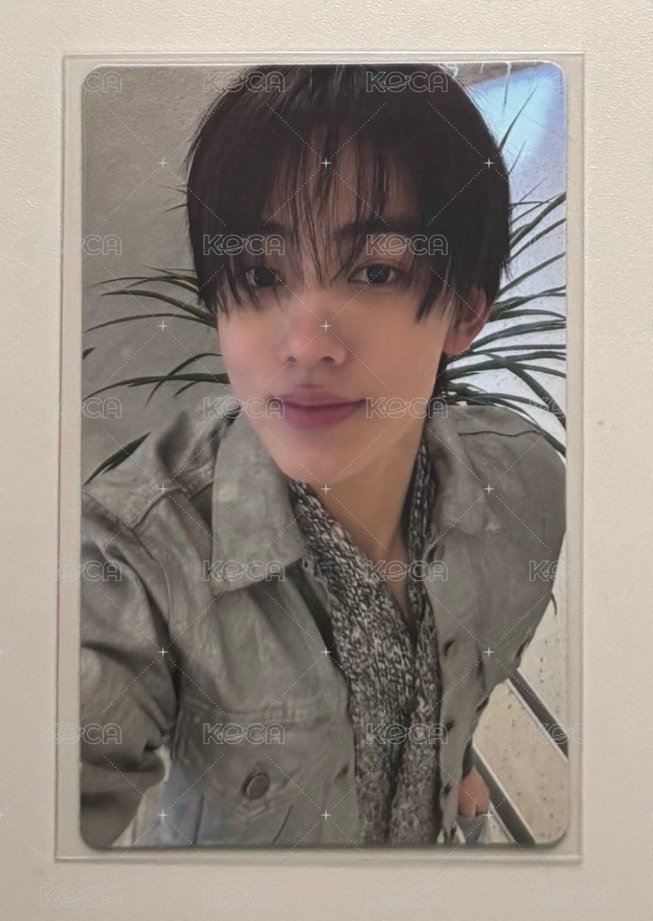 玹 wvs預售特典