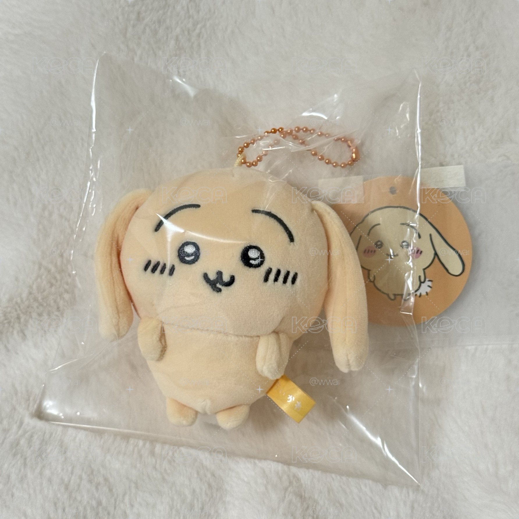 ꒰ 垂耳兔兔 ꒱