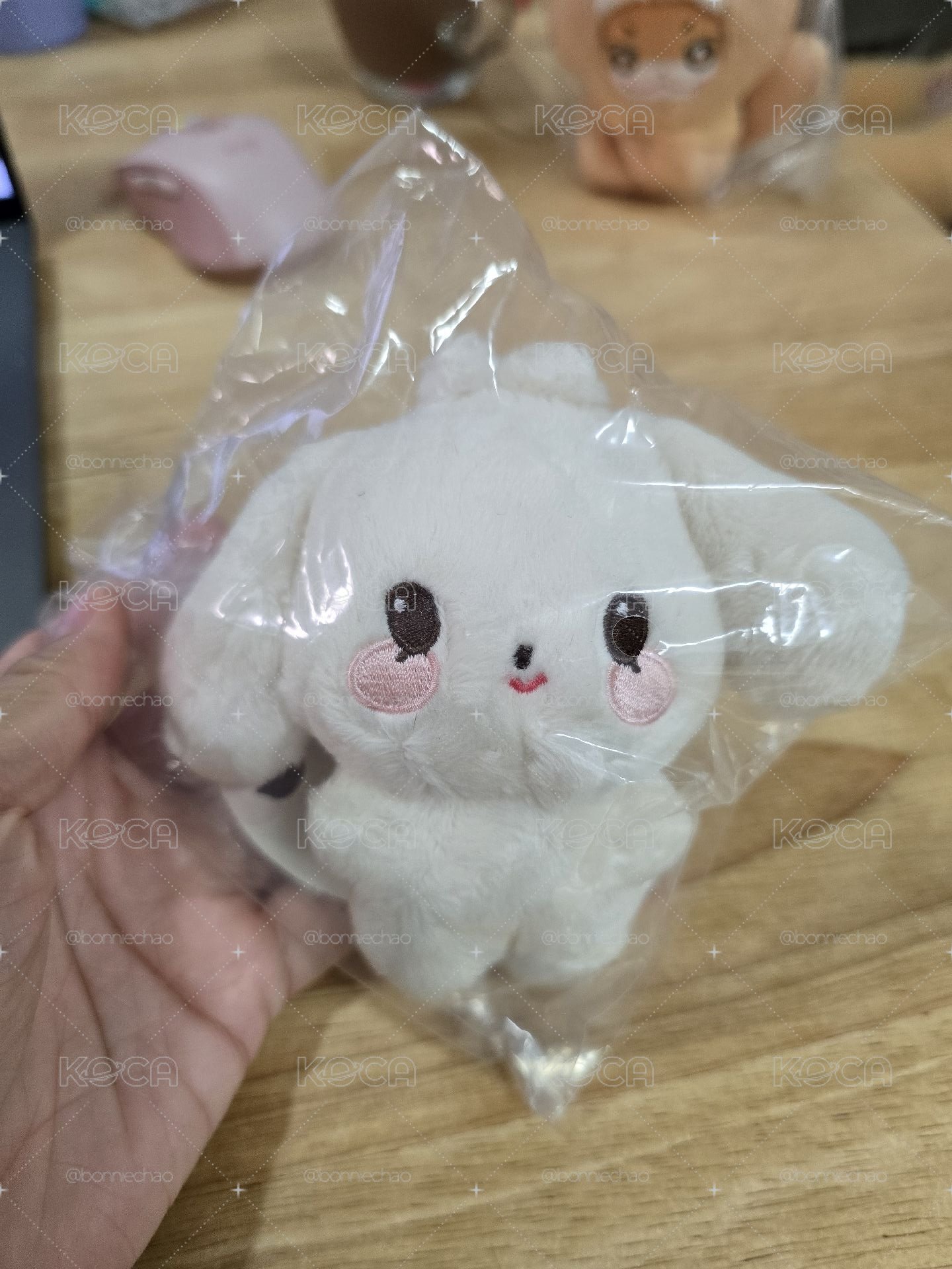 Tiny尚娃 無卡版 pop up 線下