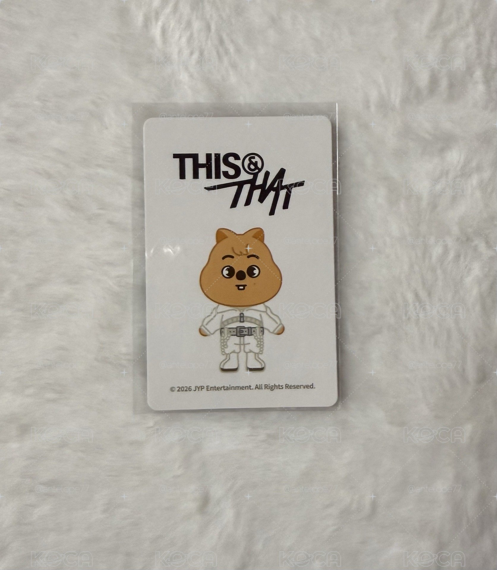 💙THIS & THAT手機支架小卡