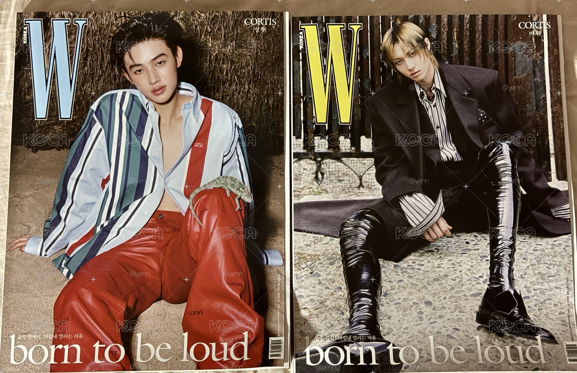 球專+雜誌