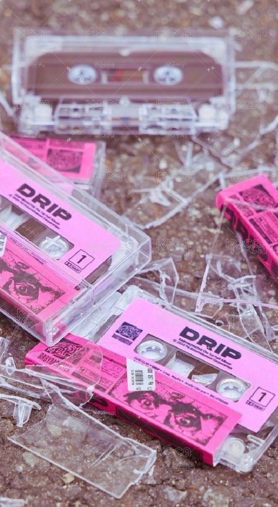 自印加購區
