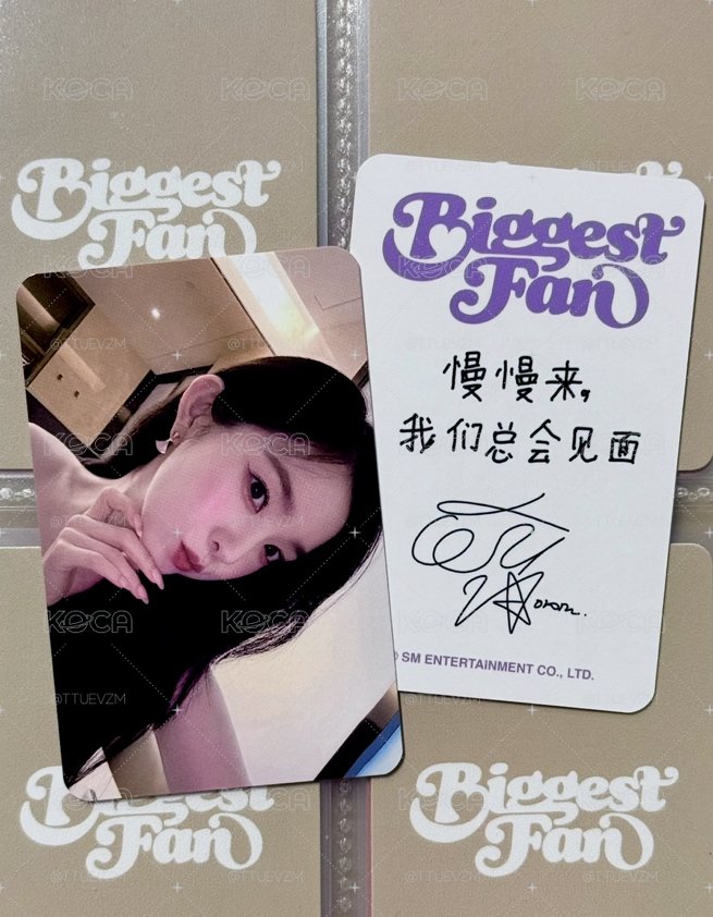 IRENE 熊寶上海簽售卡 中文卡背