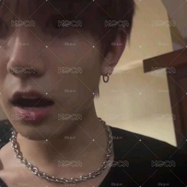李羲承/ENHYPEN 盲袋