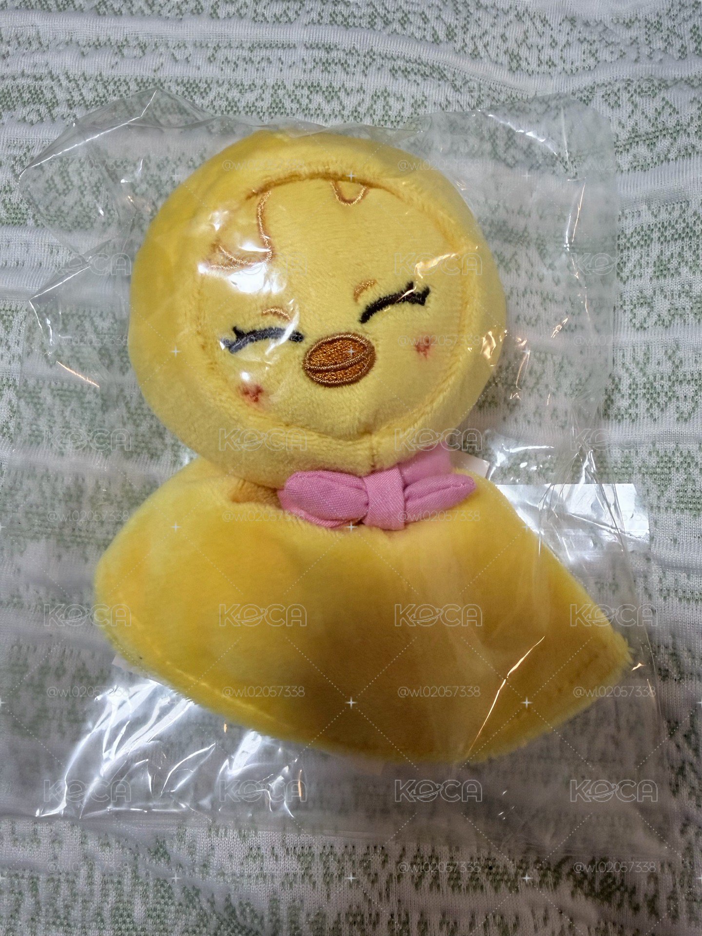 菲晴天娃