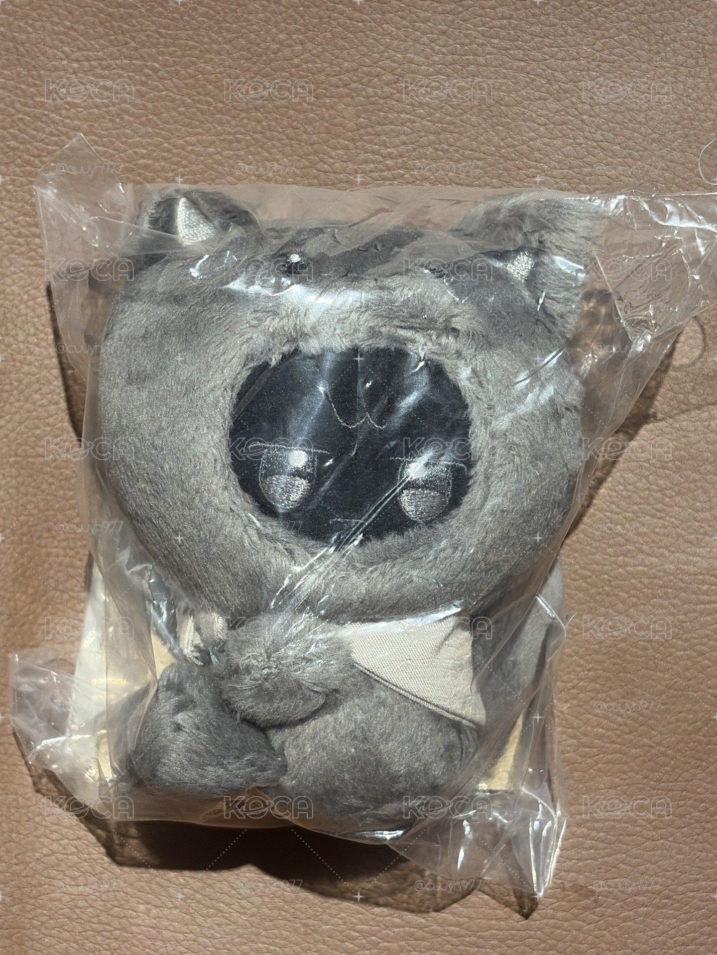毛茸茸軟綿綿的黑色小咪