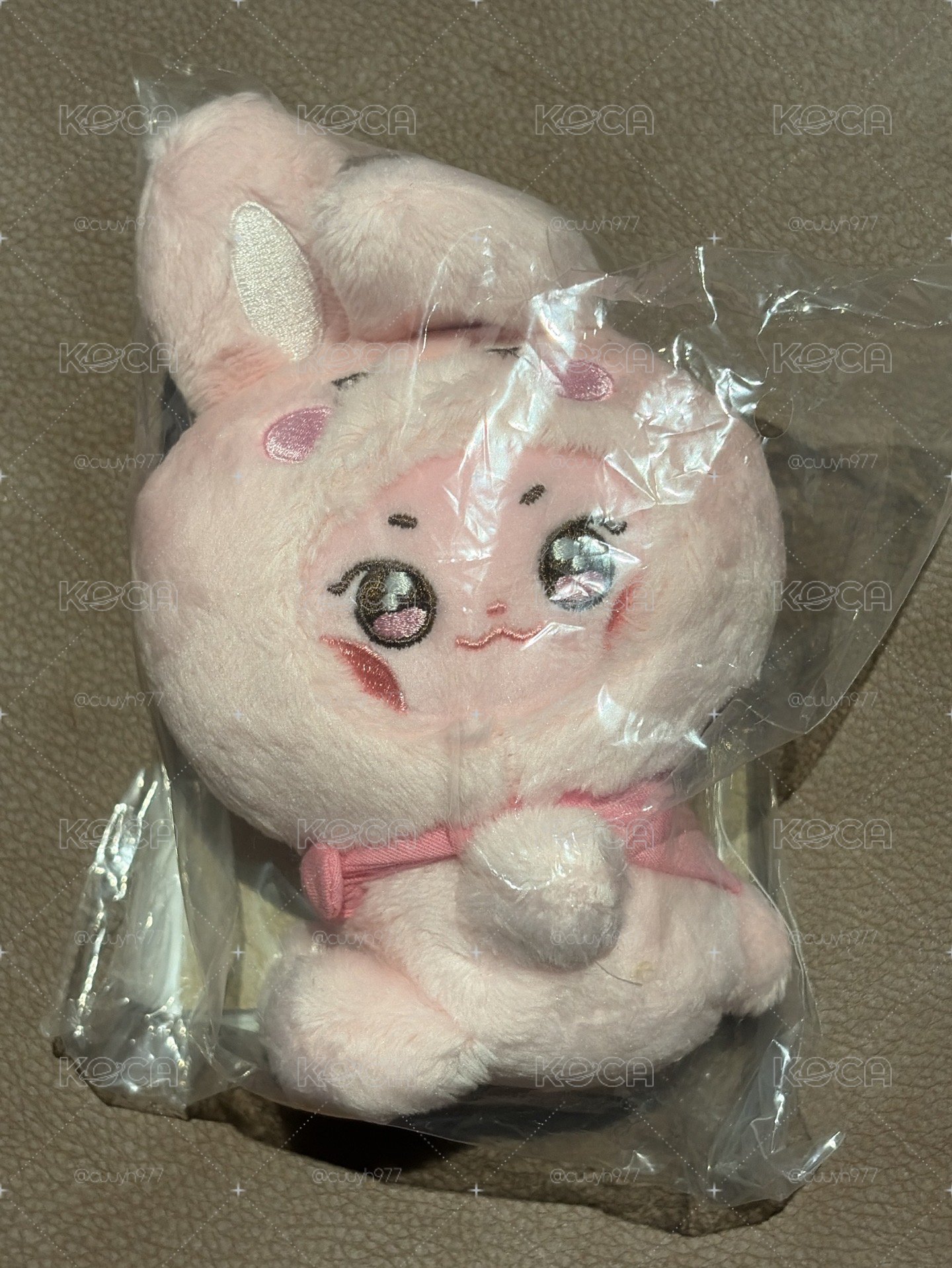 跟拔拔長得一模一樣的粉嫩嫩小兔子🐰