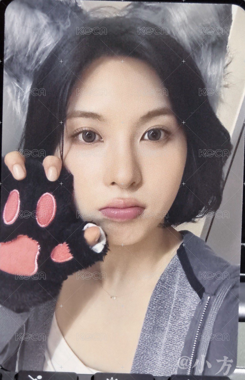 🐤裴