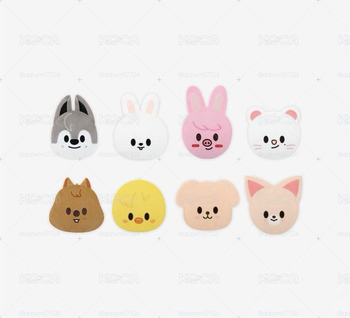 現貨 SKZ 豆豆眼扇套 FANS購入 箱子出貨 （現貨圖待補