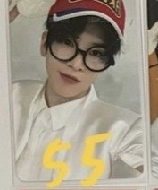 阿拉蕾馬