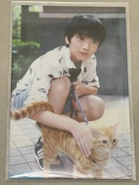 周邊卡 喵星人