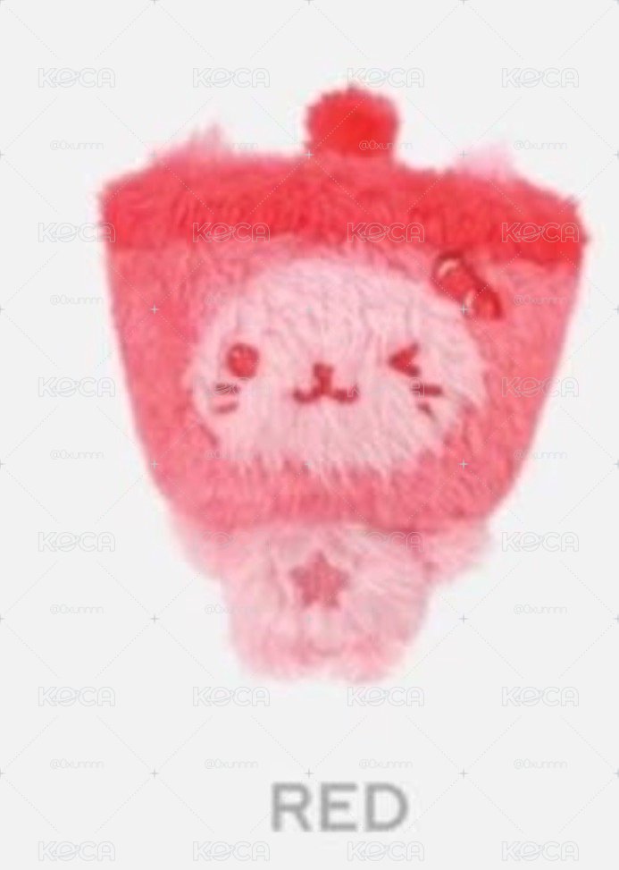 紅色奶茶貓