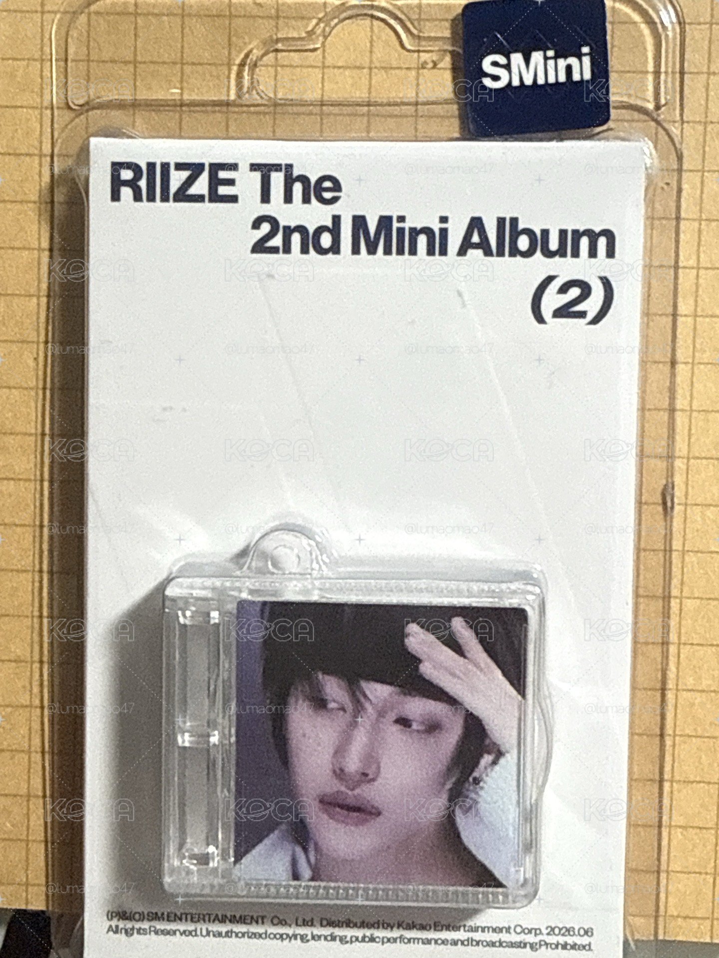 趴丸彬Smini 