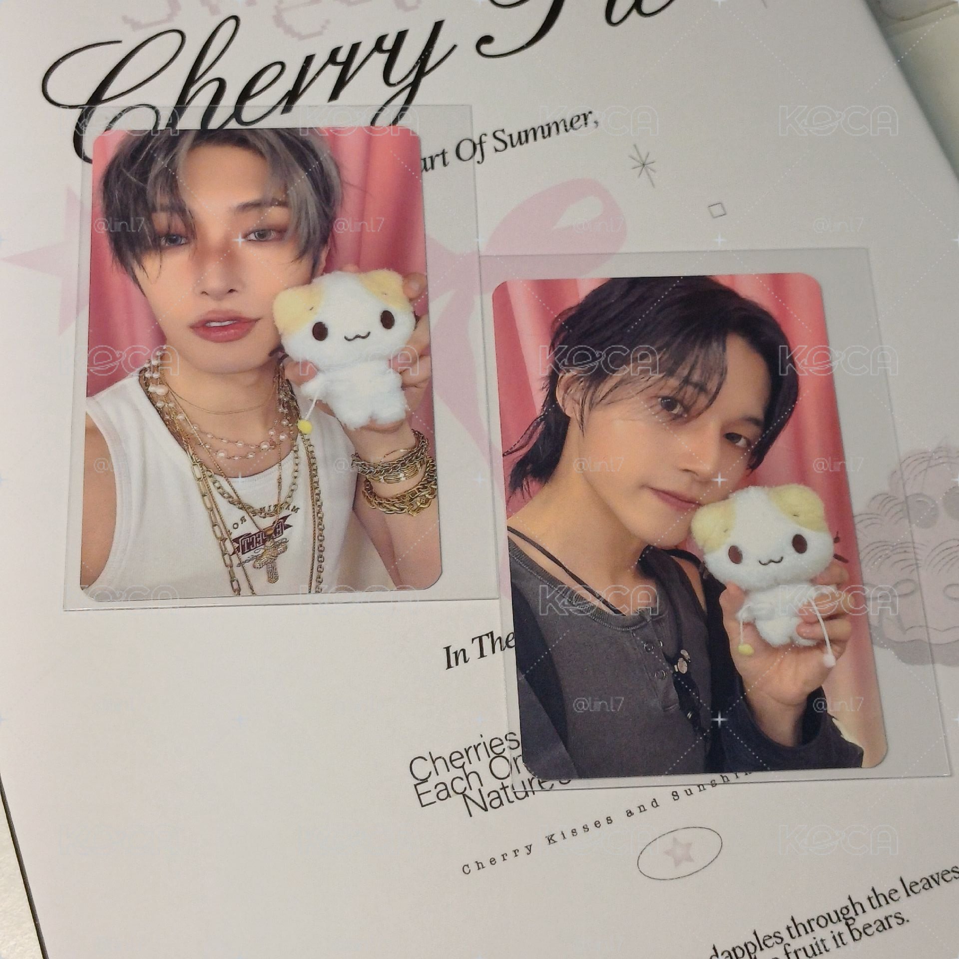 Ateez 貓咪
