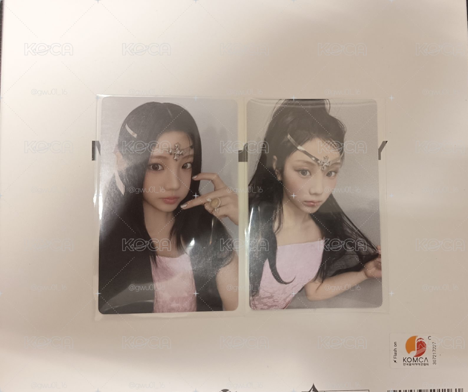 兩張禧🐹🐹