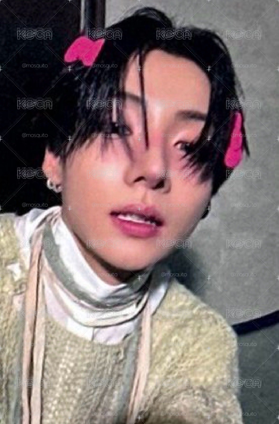 蝴蝶結 單張非現