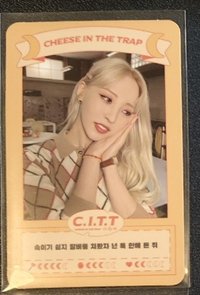 C.I.T.T專卡 可愛鼠