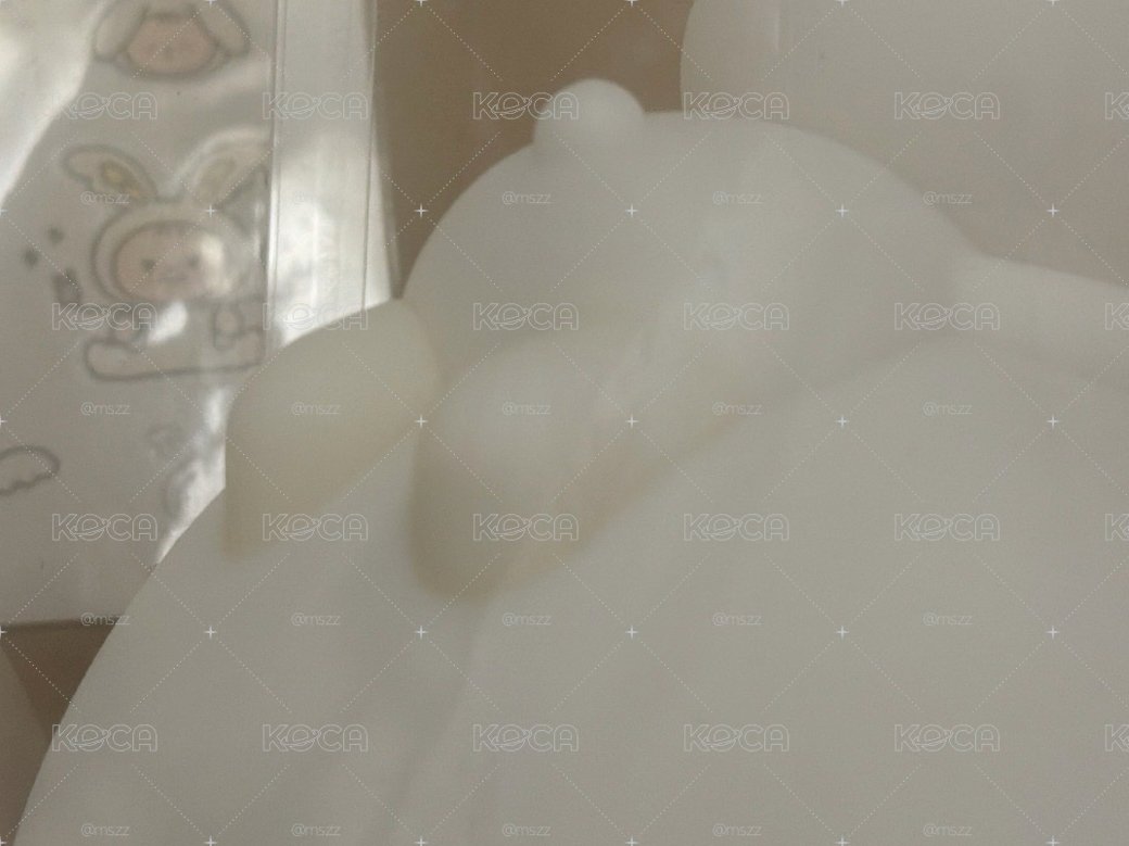兔松夜燈！含卡+歷程 線下明信片