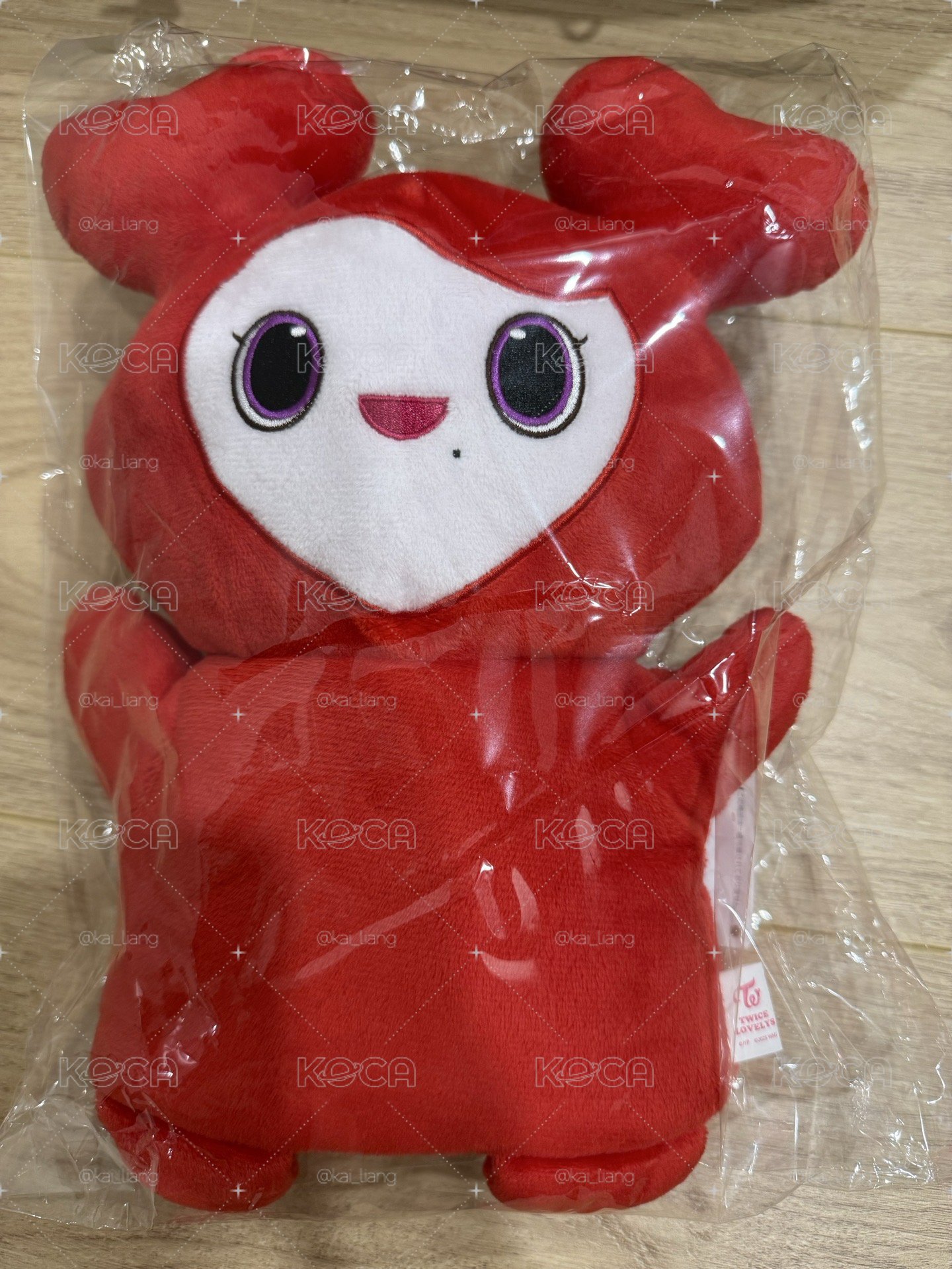 Twice Gigo 娃娃玩偶 手偶娃 彩瑛