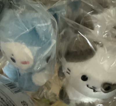 現貨坐姿 全新