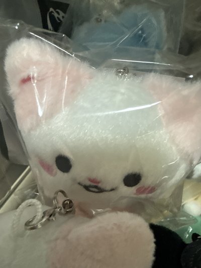 現貨坐姿 全新