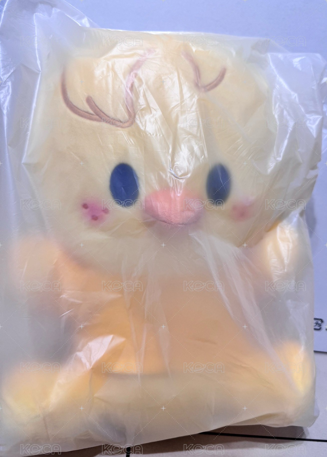 菲