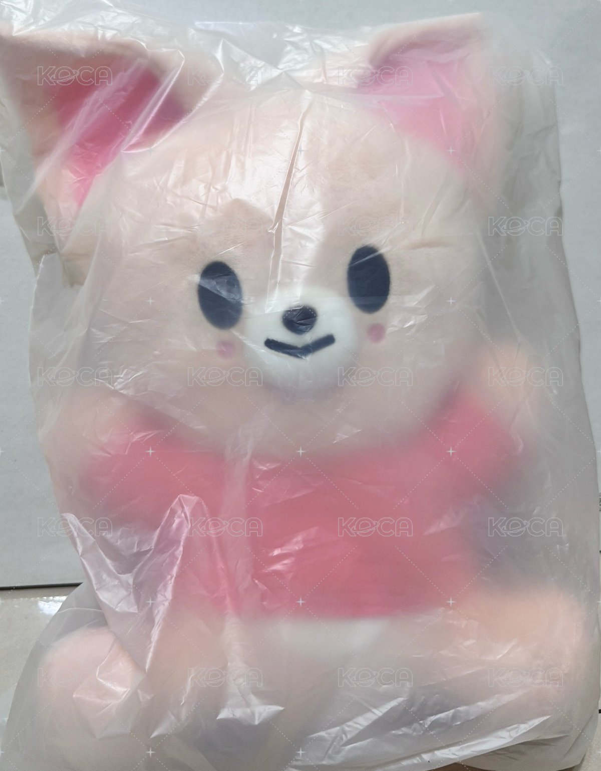 寅