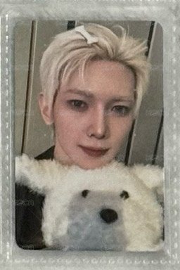 小白狗尚