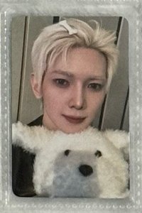 小白狗尚