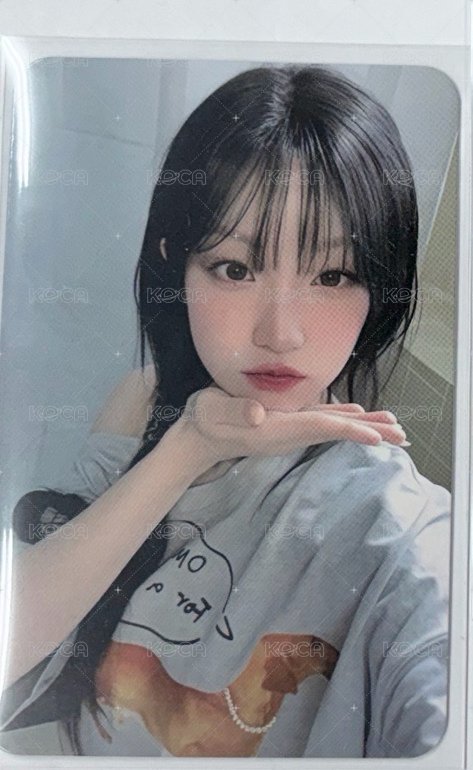 捧臉琦